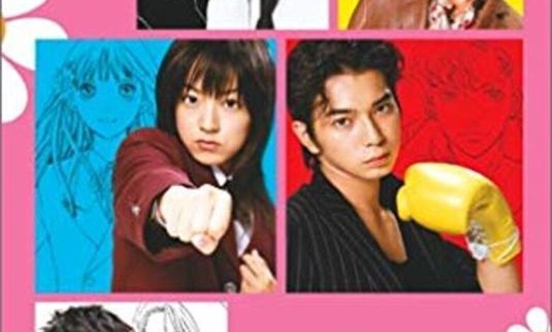 BOYS OVER FLOWERS