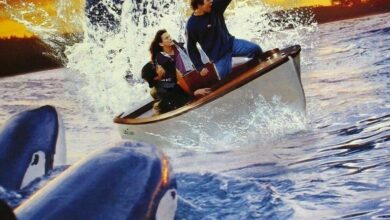 Free Willy 2: The Adventure Home