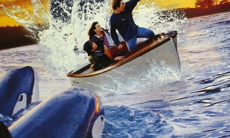 Free Willy 2: The Adventure Home