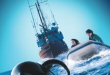 Free Willy 3: The Rescue