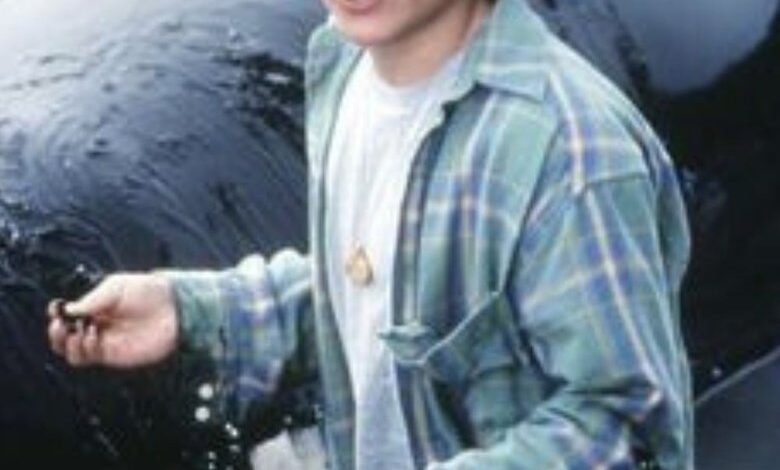 Free Willy