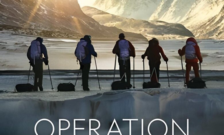Operation Arctic Cure