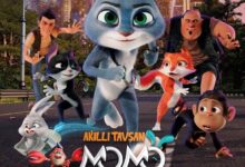 Smart Rabbit Momo: The Big Chase