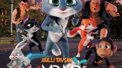 Smart Rabbit Momo: The Big Chase