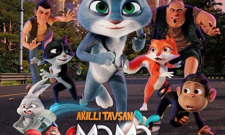 Smart Rabbit Momo: The Big Chase