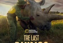 The Last Rhinos: A New Hope