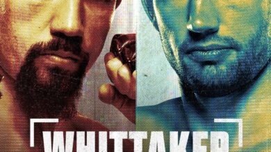 UFC on ABC 9: Whittaker vs. de Ridder
