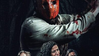 Creeper in the Woods