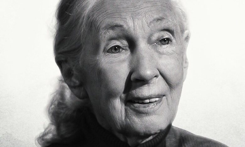 Famous Last Words: Dr. Jane Goodall
