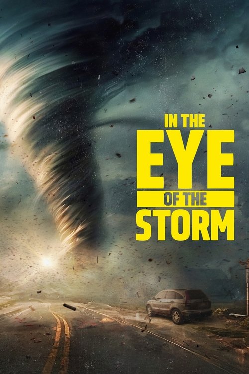 In the Eye of the Storm Season 4 (Complete) TV Series