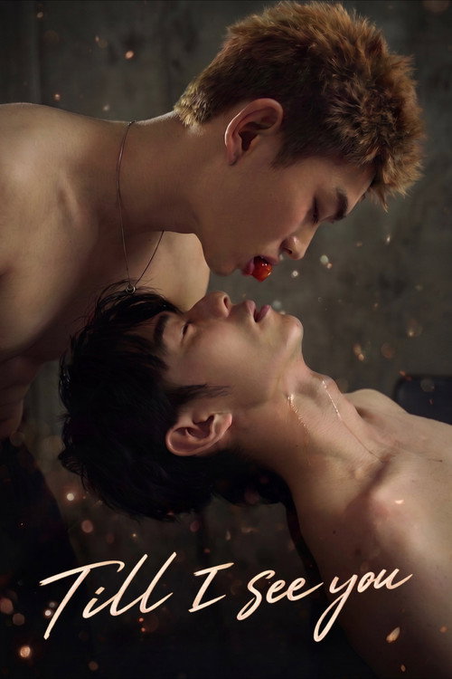 Till I See You (2026) Season 1 Chinese Drama